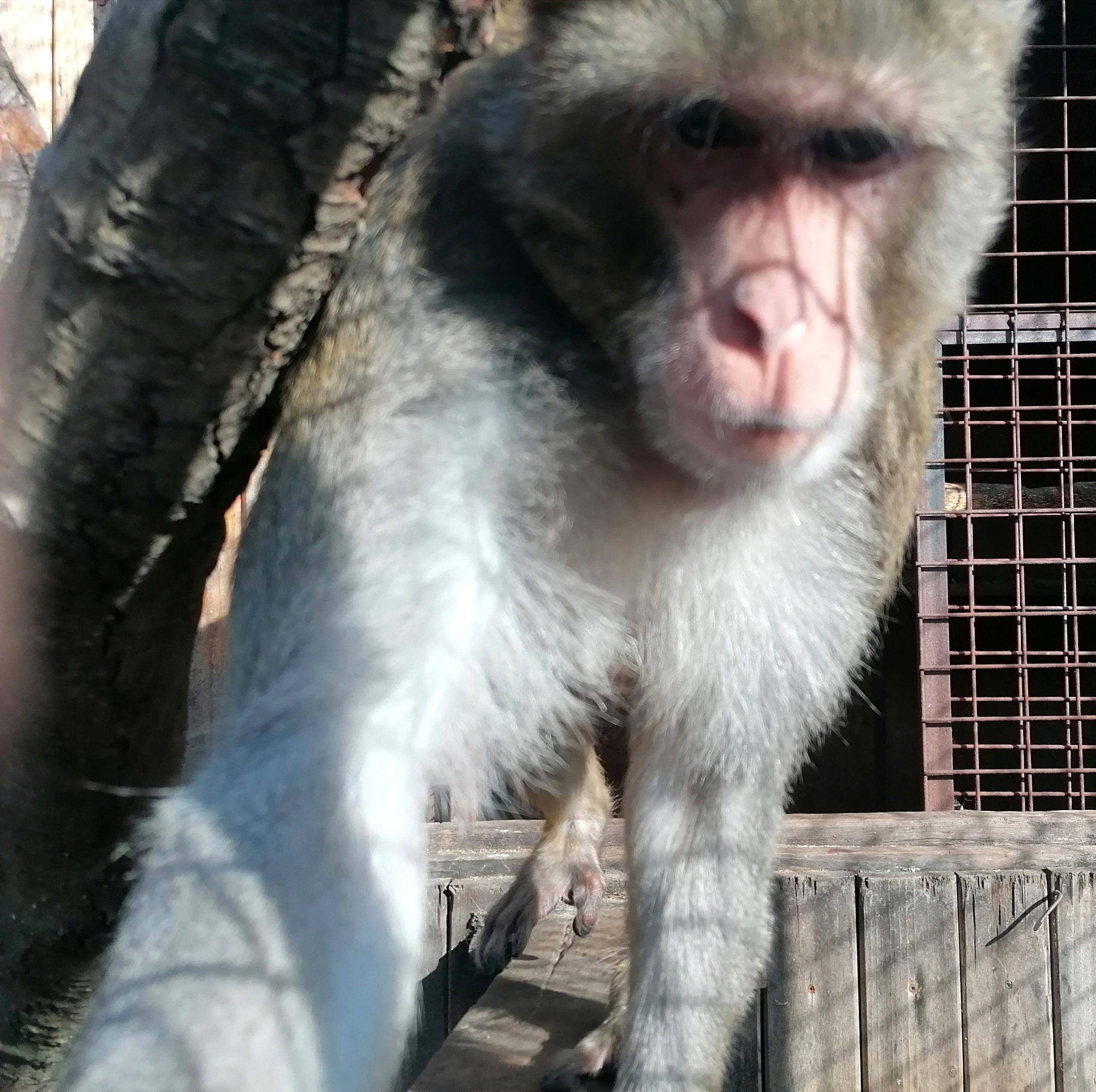 Exotické zvieratá v ZOO