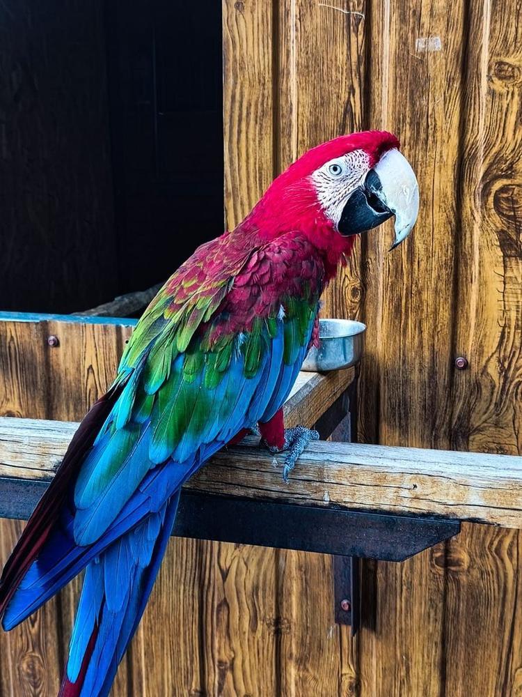 Exotické zvieratá v ZOO
